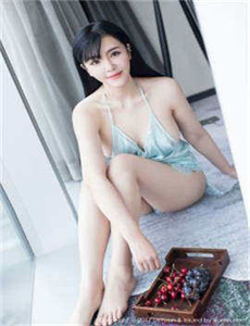 藏羚王